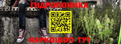 СК Дмитров