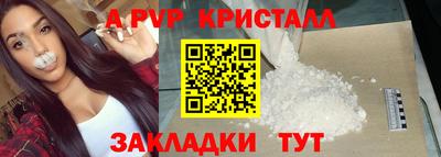 СК Дмитров