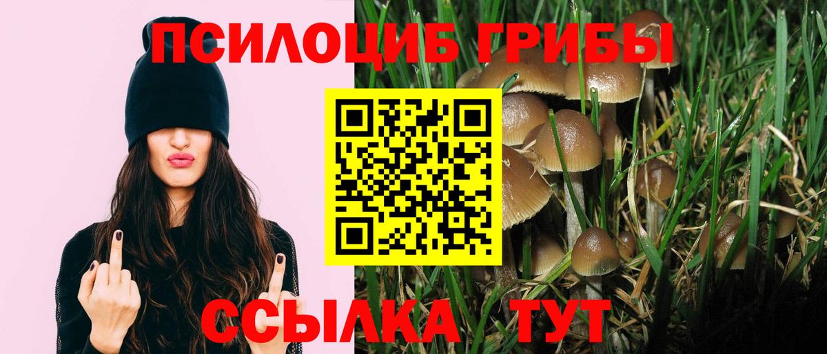 Псилоцибиновые грибы мицелий  Галлюциногенные грибы Magic Shrooms  Мытищи  Вход с VPN 
