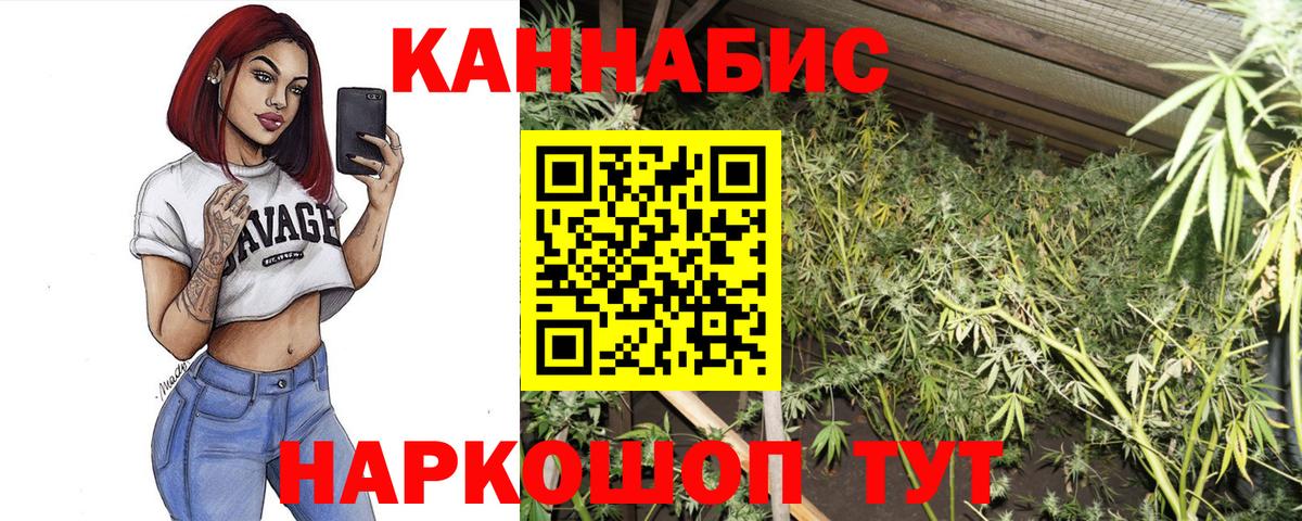 Канабис OG Kush  Шишки марихуана ГИДРОПОН  Вход с VPN  Мытищи  Конопля LSD WEED 